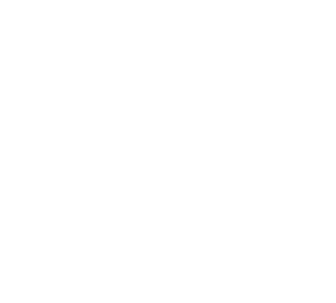 company_logo